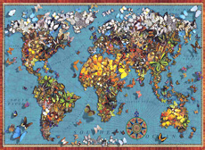 세계 나비 지도