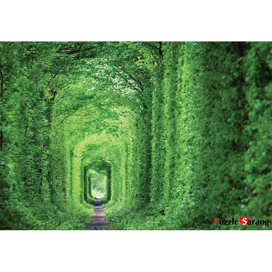 사랑의 터널